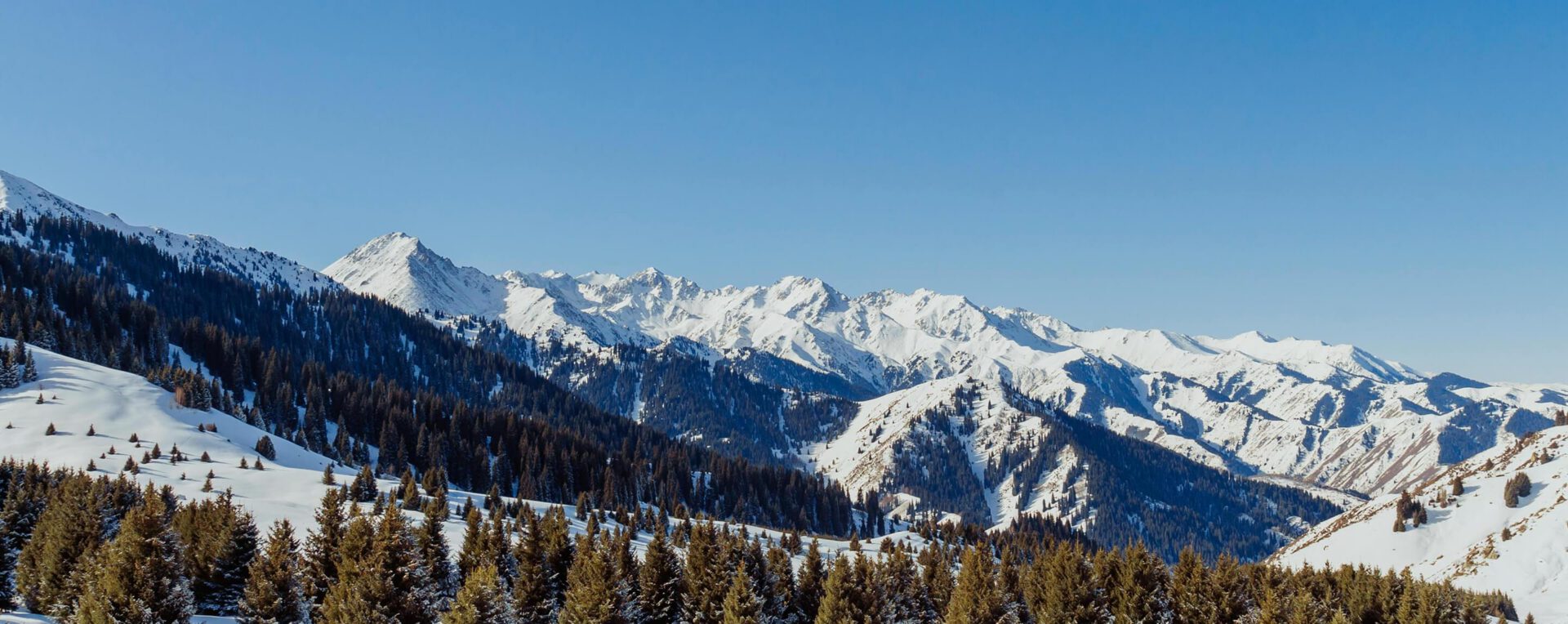 Свадебные традиции