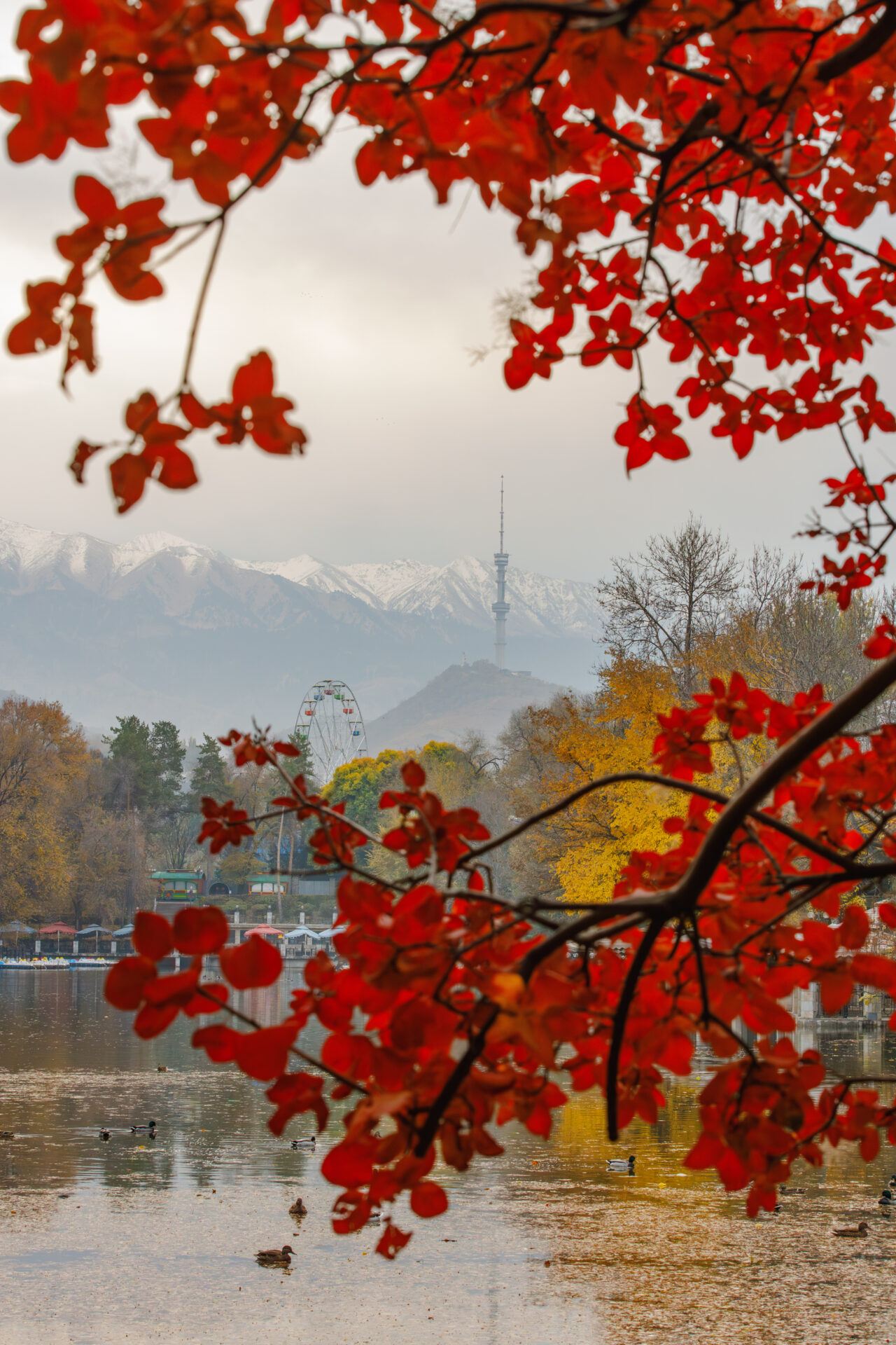 Центральный парк отдыха Алматы