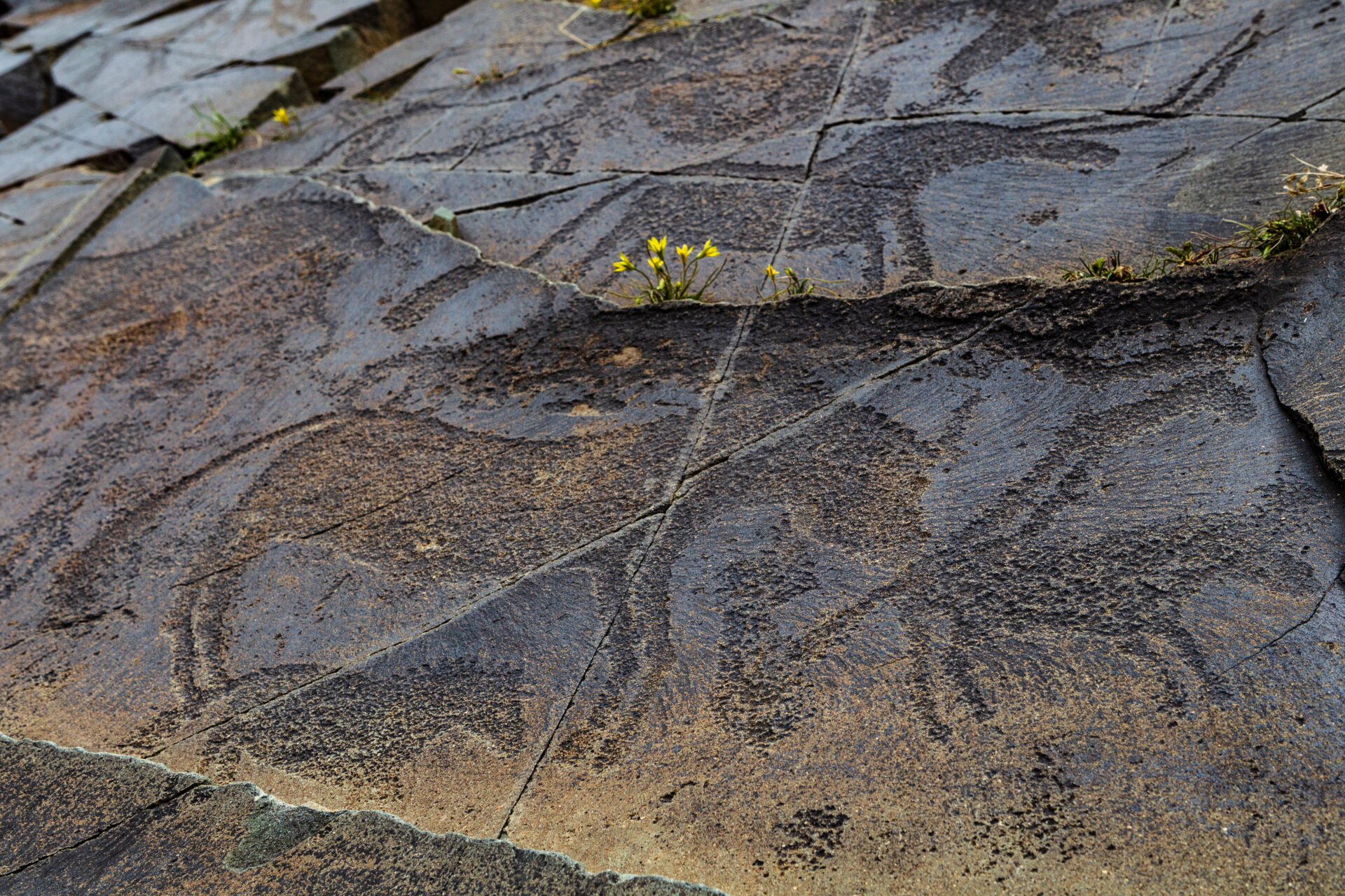 Тамгалы-Тас