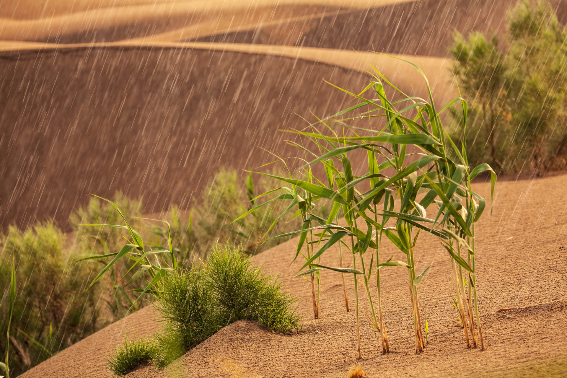Национальный парк Алтын-Эмель