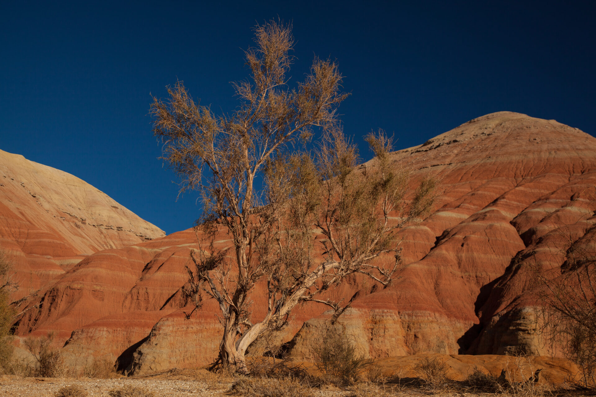 Горы Актау (Алтын-Эмель)