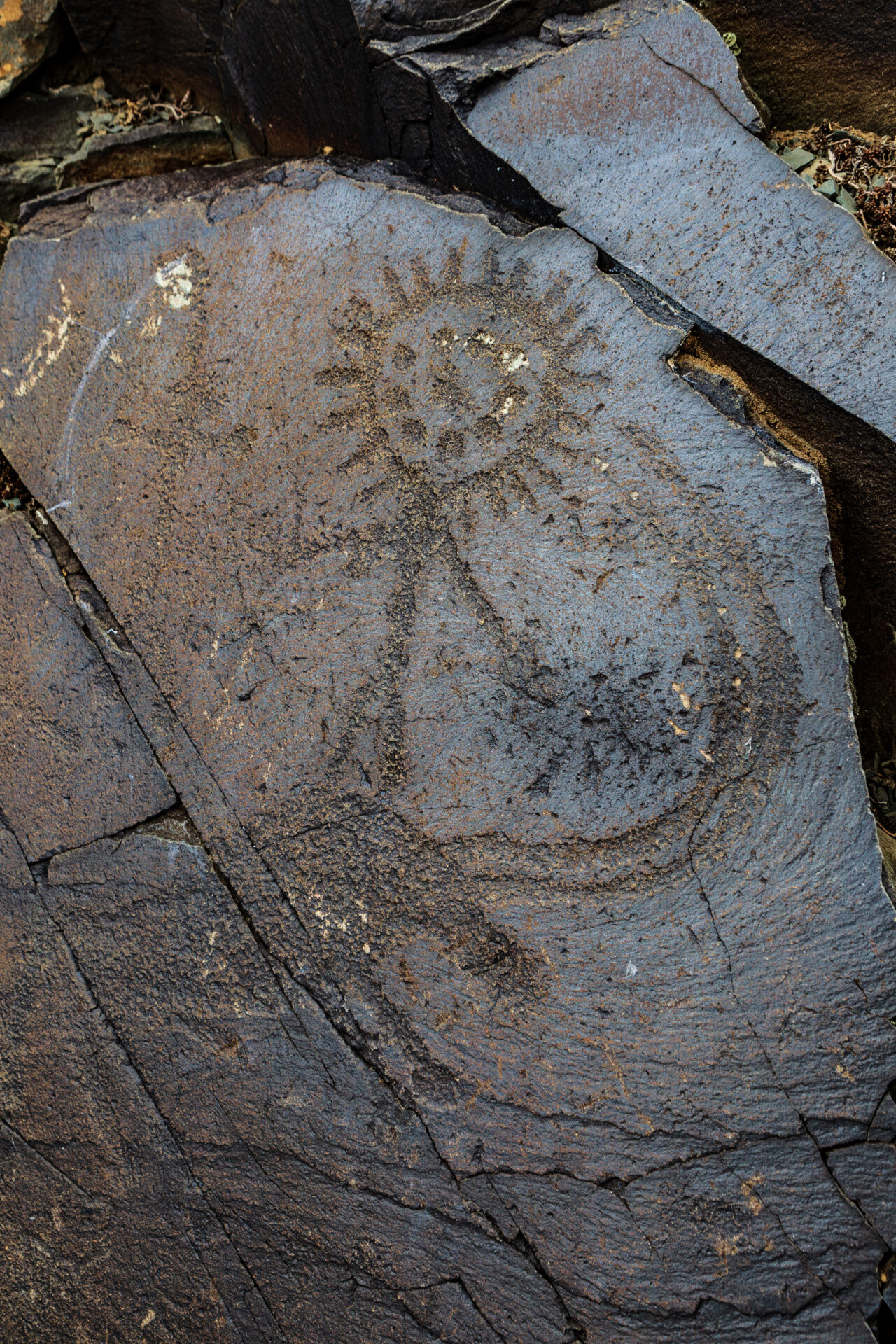 Тамгалы-Тас