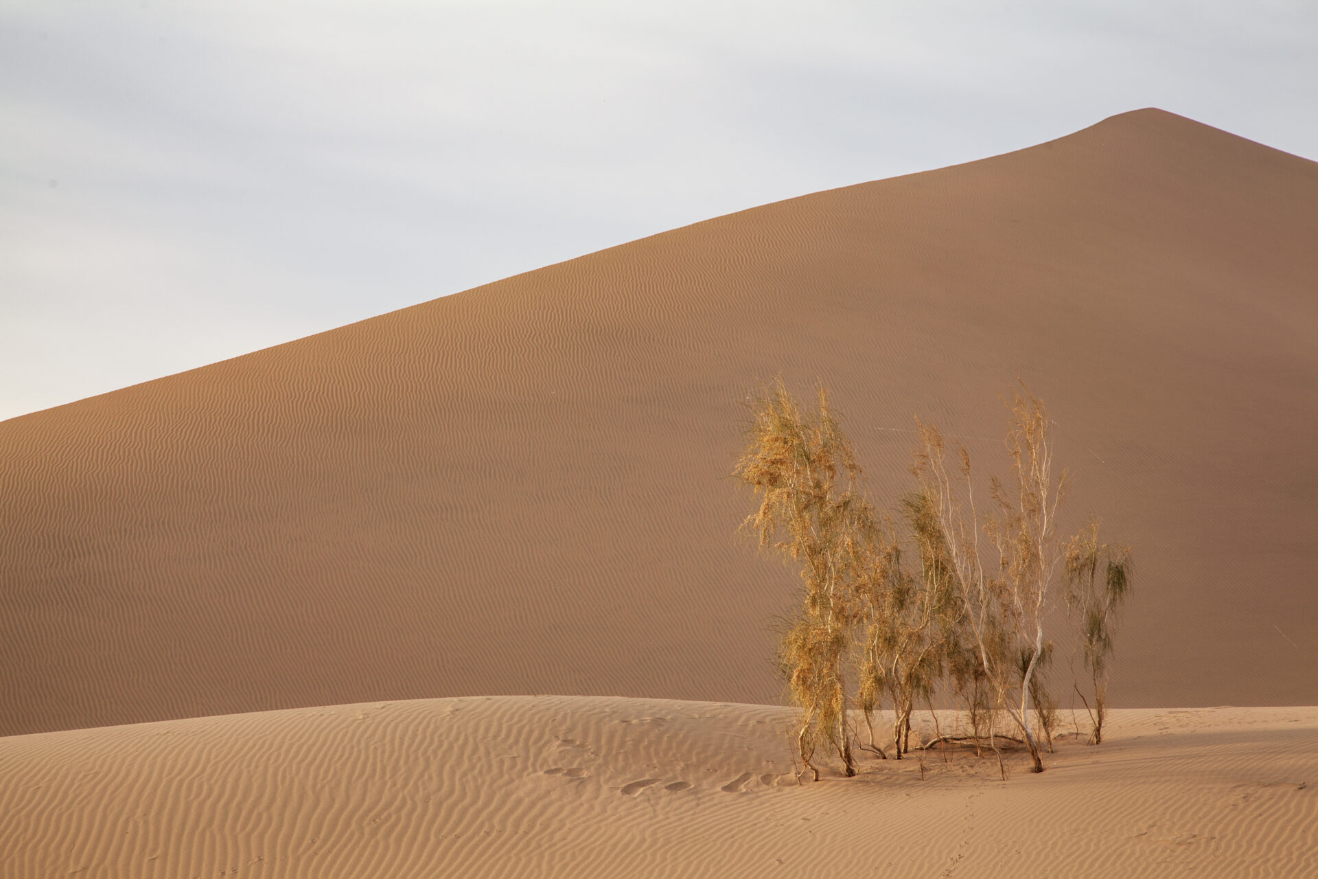 Поющий Бархан (Алтын-Эмель)