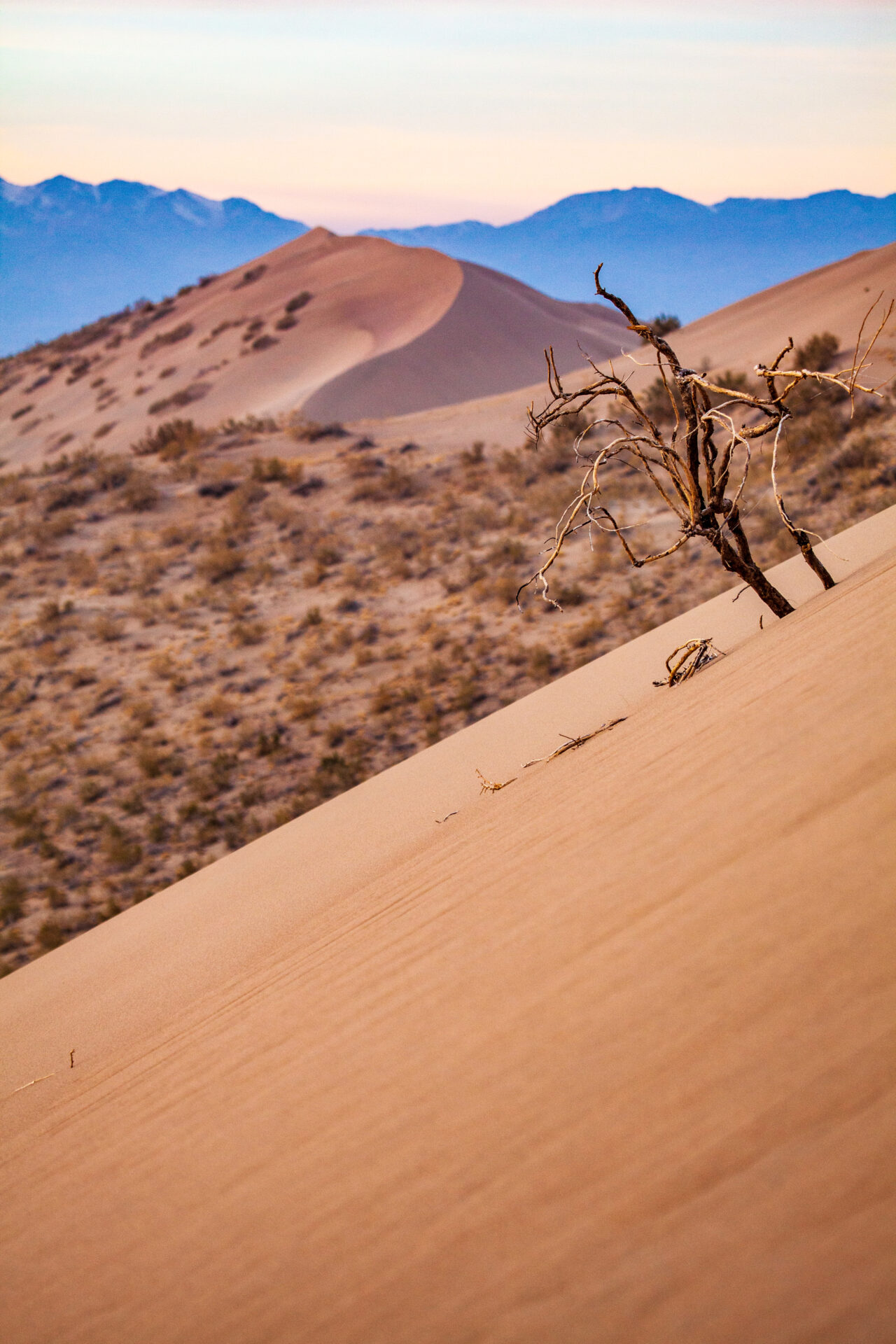 Поющий Бархан (Алтын-Эмель)