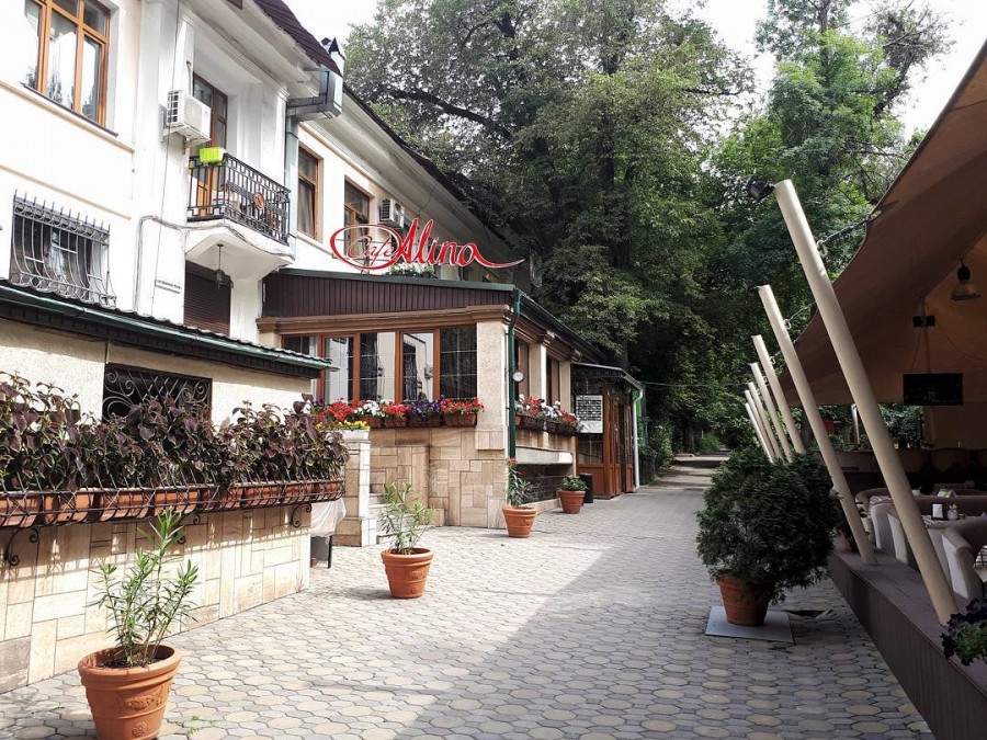 Alina Cafe