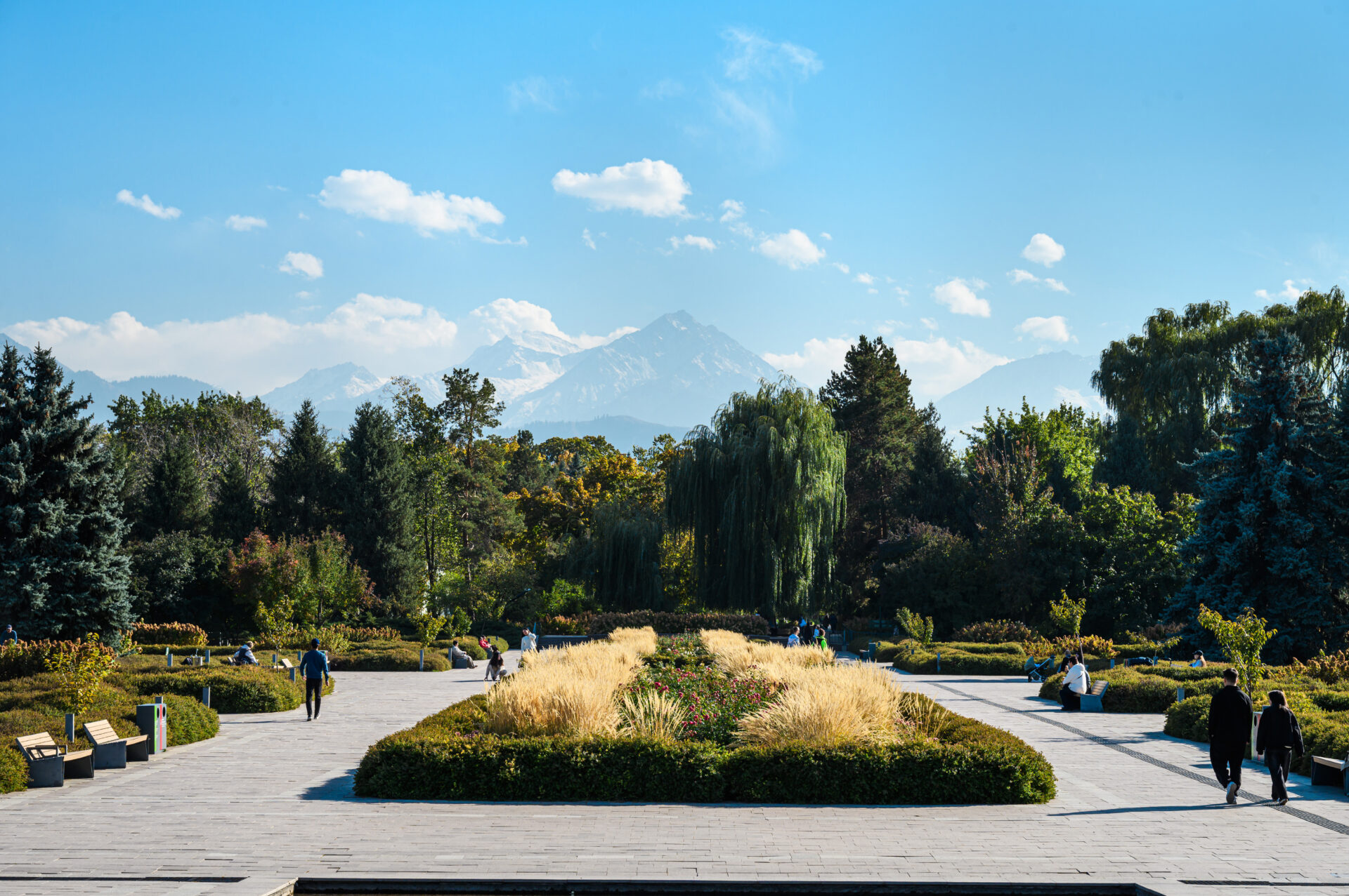 Ботанический Сад