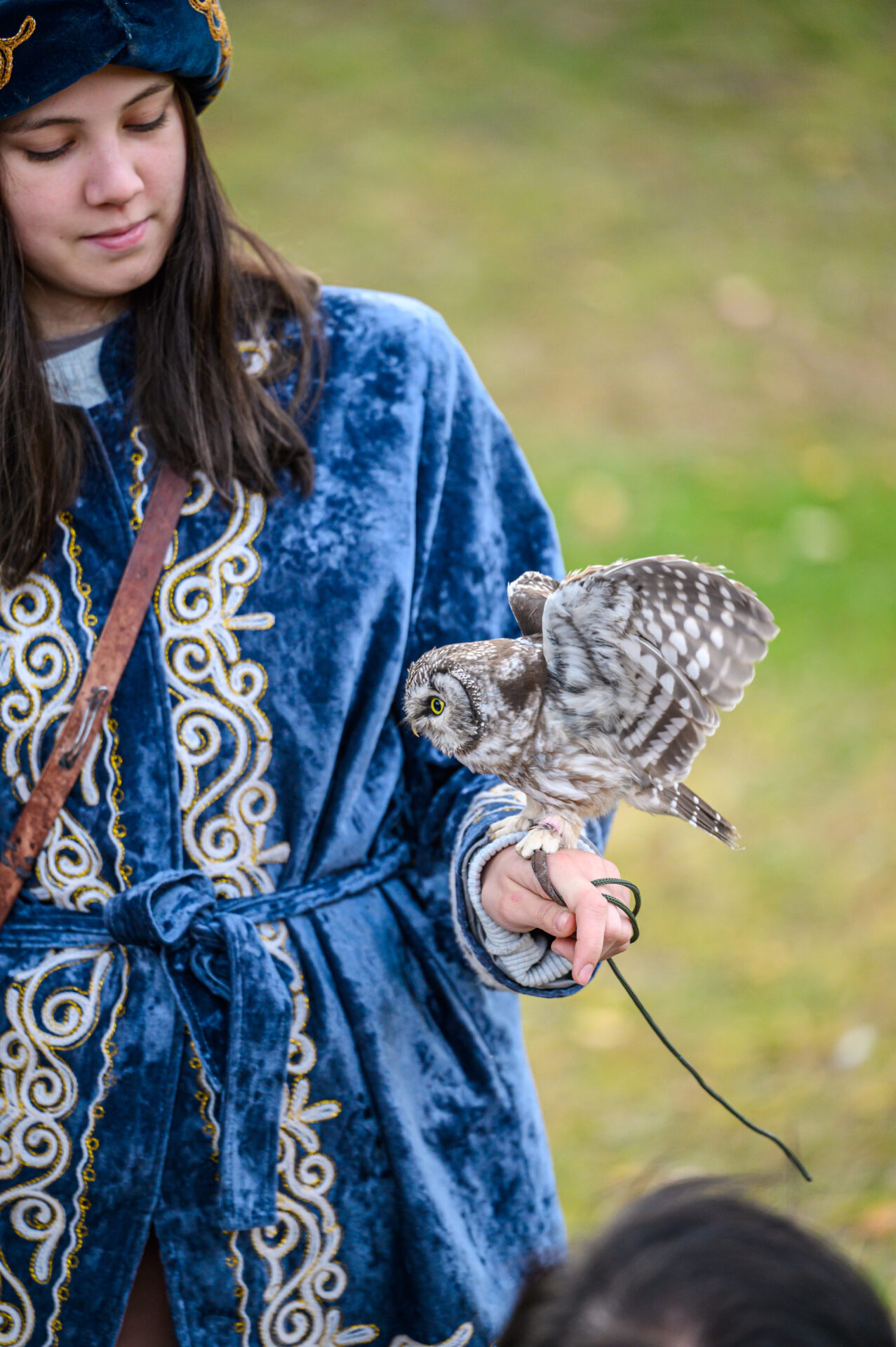 Соколиный питомник «Сункар»