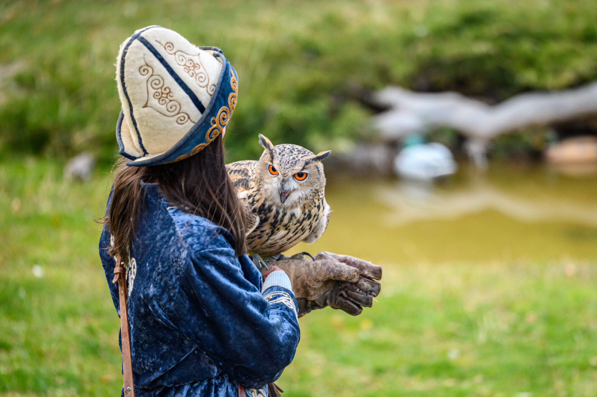 Соколиный питомник «Сункар»